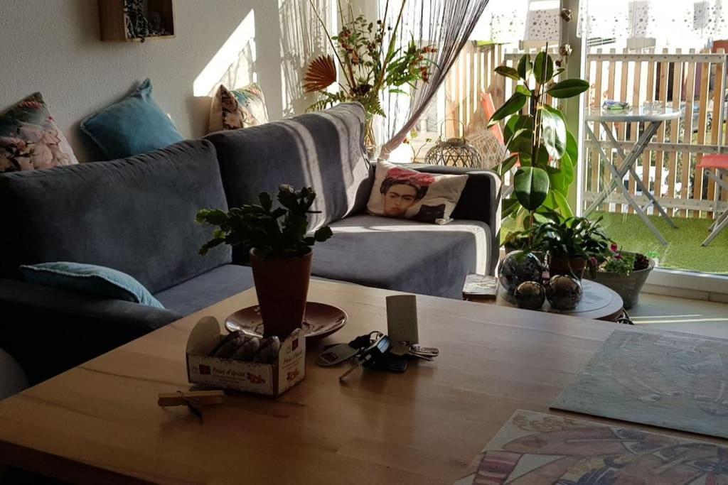 Appartement Complet Et Parking Protege La Teste-de-Buch Eksteriør billede